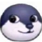 香肠派对的一位小苟分仔