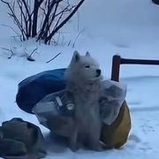 吹啊吹啊晚风