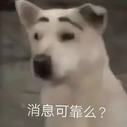 日记.