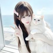鲨鲨不会玩