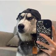 这里没有易中人