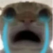 鼠鼠