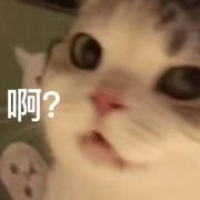 知安