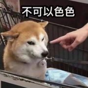 马猴烧酒