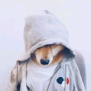 庸俗