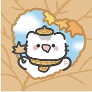 今日晴