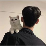 碳