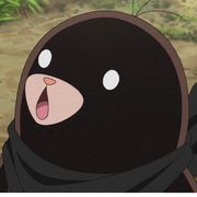 孟冬柒