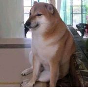 今天游戏开测了吗