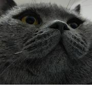 开启我心爱的小耗子