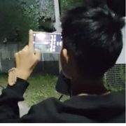 风仙王浪浪