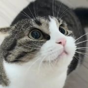 纯洁