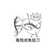 咸鱼划水