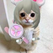 宝宝太少.