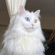 手机用户65648860