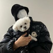 小葵圆又圆