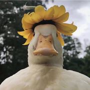 徒途