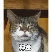 花散华