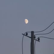 就当我什么都没说