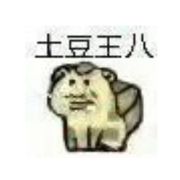 上车的上海白菜