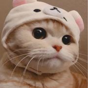 小时呢