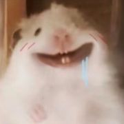 路过