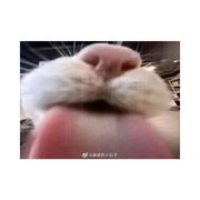 sjsizx
