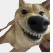 张家乐