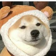 莫问昔日为谁飞扬