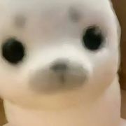 干嘛？