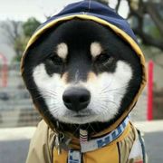 塔吊用来送外卖