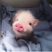 爱他，他却离我而去