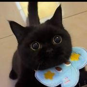 东北在逃冰棍儿