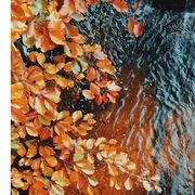 热心市民.篱笙🌝👍