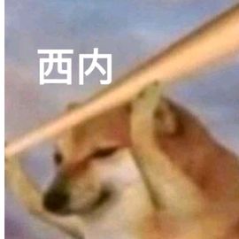 来一碗小新牌的西内