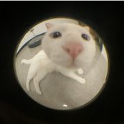 纸纸