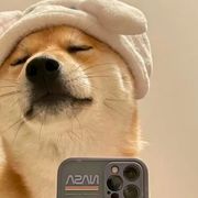 索然无味小阿豪