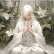 萌新