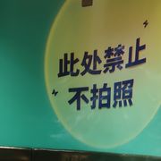 揽洋
