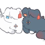 羽鳥知世