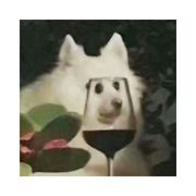 空白番茄