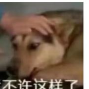 番茄