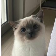 波波