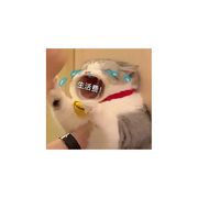 A阿鬼（夺舍帝尸版）