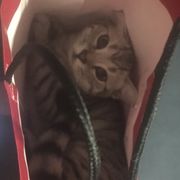 天风宇