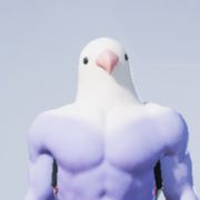 。。。。。