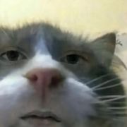 大丈夫