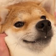 小张不想努力了