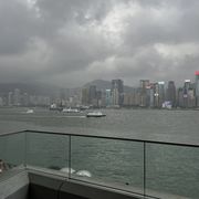 花海唯意深.
