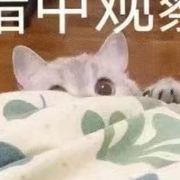 又一把疾风之剑？